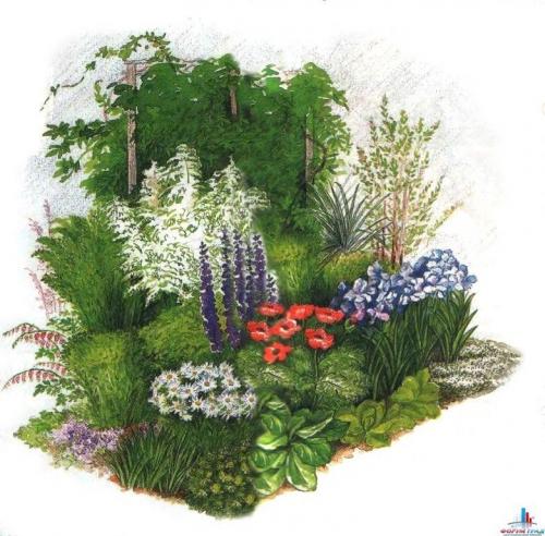 Какие цветы посадить, чтобы цвели с весны до осени. Клумбы, цветущие с ранней весны до поздней осени в закладки 92