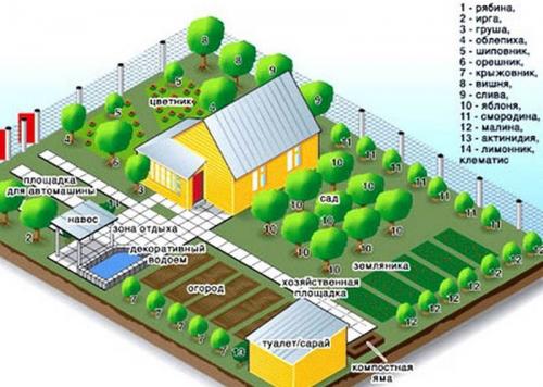 Планировка плодово-фруктового сада и огорода. Планировка сада: 3 варианта на любой вкус 20