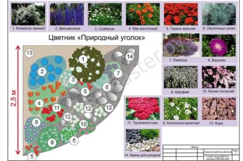 Цветник из многолетников непрерывного цветения. Виды 02