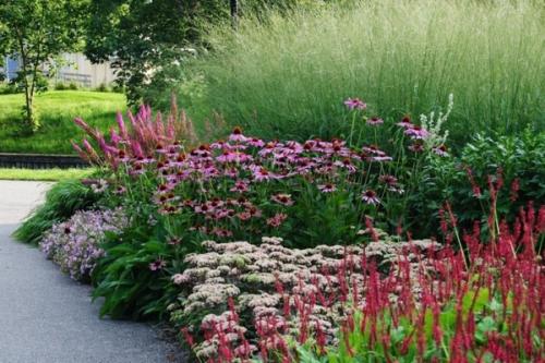 Цветник из многолетников непрерывного цветения. Виды 01
