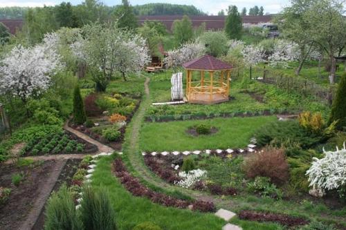 Деревья для дачного участка. Составление плана