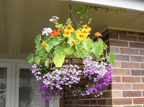 Кашпо для цветов подвесные. Любителям подвесных кашпо для сада, созданных своими руками