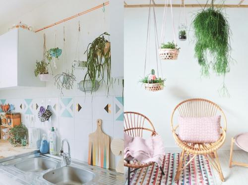 Кашпо для комнатных цветов. Варианты конструкций кашпо для комнатных цветов