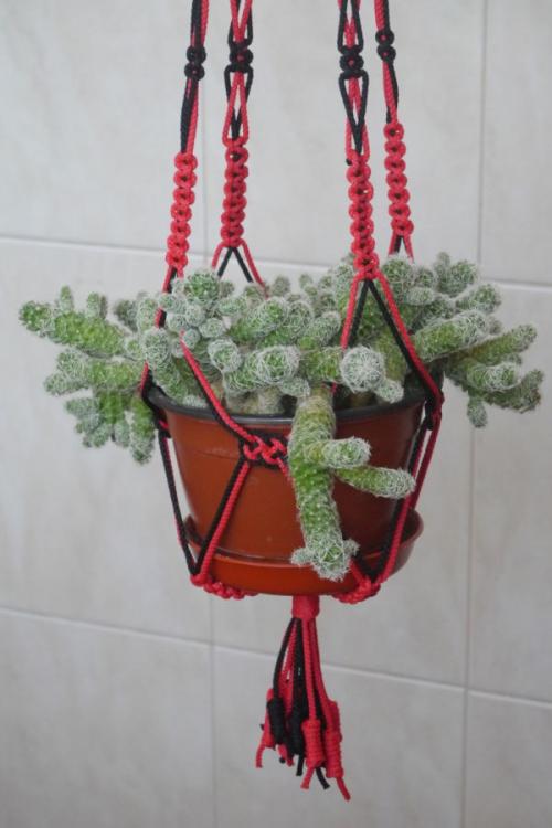 Кашпо своими руками из шпагата. Кашпо для цветов в технике Макраме: схемы плетения и мастер-классы для начинающих
