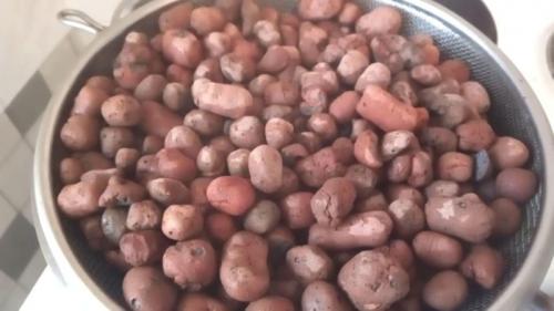 Дренаж для кашпо. Как сделать дренаж для комнатных растений своими руками