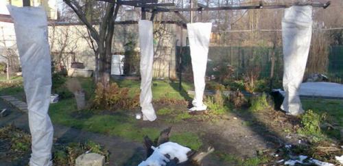 Подготовка сада к зиме. Добавление статьи в новую подборку 08 Подготовка сада к зиме. Добавление статьи в новую подборку 08