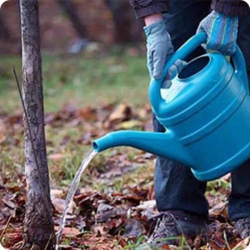 Как подготовить к зиме. КАК ПОДГОТОВИТЬ САД К ЗИМЕ