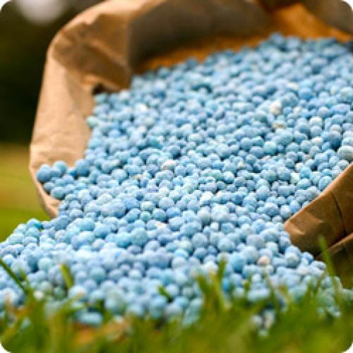 Как подготовить к зиме. КАК ПОДГОТОВИТЬ САД К ЗИМЕ