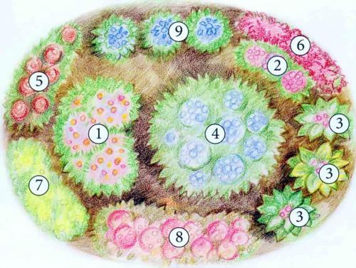 Готовые схемы и проекты цветников. Готовые схемы красивых клумб разной формы из многолетних цветов в Подмосковье для начинающих 