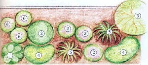 Ленивая многолетник схемы клумб для начинающих. Схемы простых клумб для начинающих