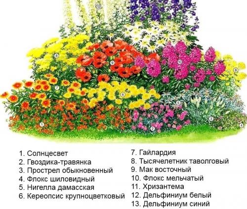 Готовые схемы и проекты цветников. Готовые схемы красивых клумб разной формы из многолетних цветов в Подмосковье для начинающих 